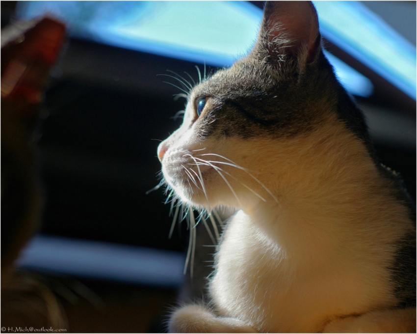 Studio-One.Art.br Repo Fotografia em Rio Preto SP/Brasil