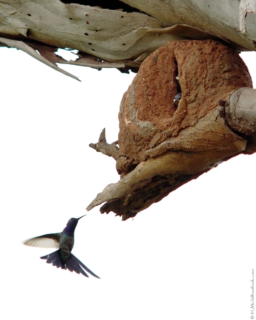 Studio-One.Art.br Repo Fotografia em Rio Preto SP/Brasil