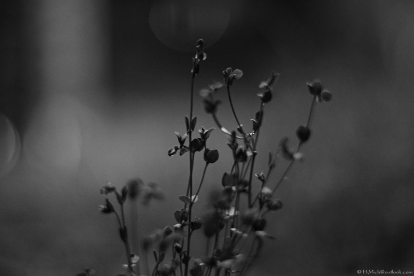 Studio-One.Art.br Repo Fotografia em Rio Preto SP/Brasil