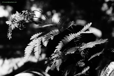 2022 06 15(208)