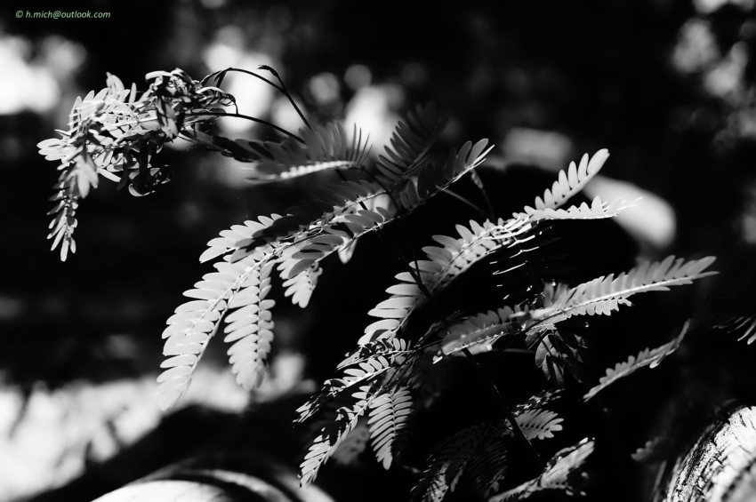 Studio-One.Art.br Repo Fotografia em Rio Preto SP/Brasil