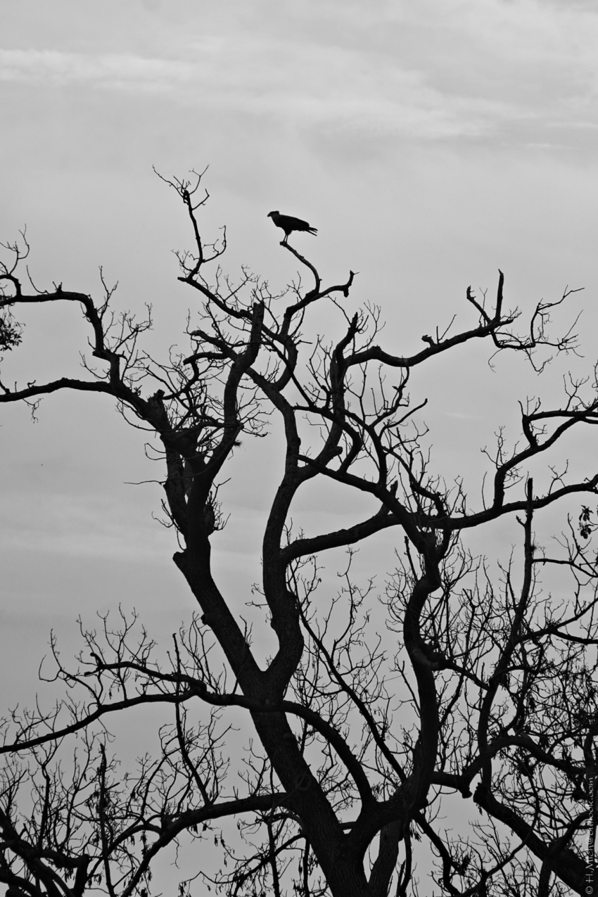 Studio-One.Art.br Repo Fotografia em Rio Preto SP/Brasil