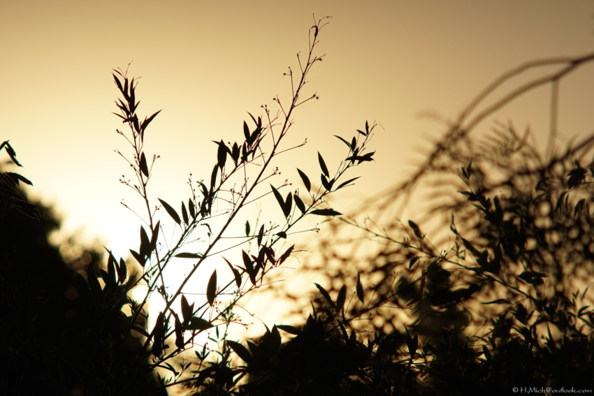 Studio-One.Art.br Repo Fotografia em Rio Preto SP/Brasil