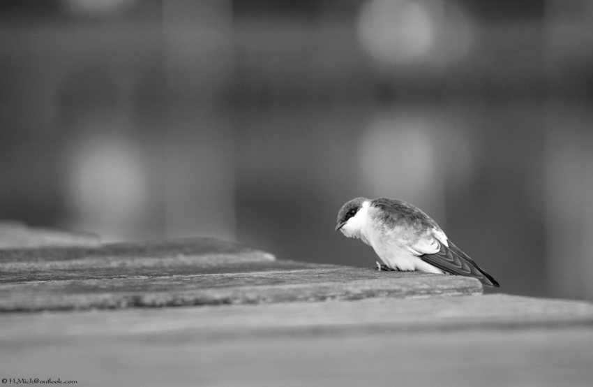 Studio-One.Art.br Repo Fotografia em Rio Preto SP/Brasil