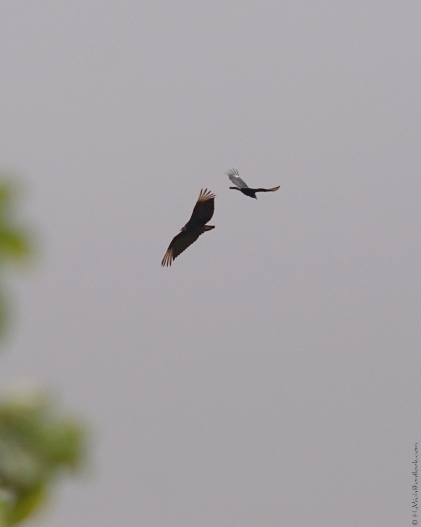 Studio-One.Art.br Repo Fotografia em Rio Preto SP/Brasil