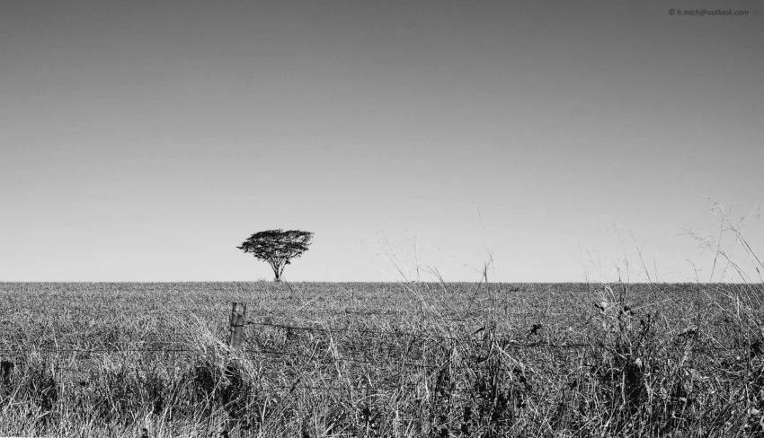 Studio-One.Art.br Repo Fotografia em Rio Preto SP/Brasil