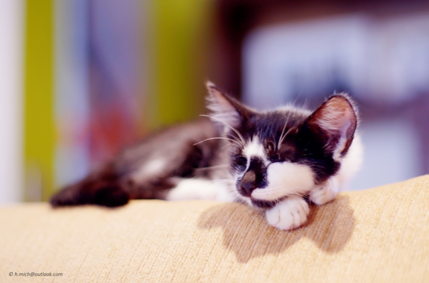 Studio-One.Art.br Repo Fotografia em Rio Preto SP/Brasil