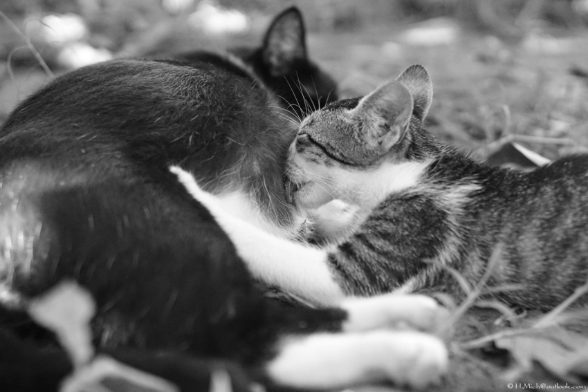 Studio-One.Art.br Repo Fotografia em Rio Preto SP/Brasil