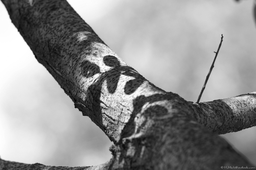 Studio-One.Art.br Repo Fotografia em Rio Preto SP/Brasil