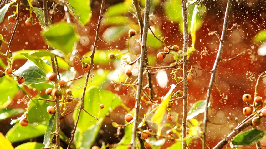 Studio-One.Art.br Repo Fotografia em Rio Preto SP/Brasil