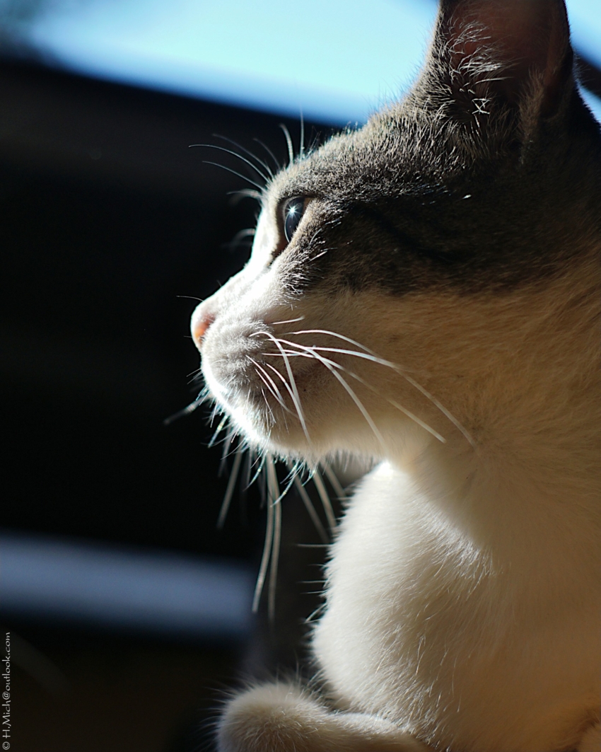 Studio-One.Art.br Repo Fotografia em Rio Preto SP/Brasil