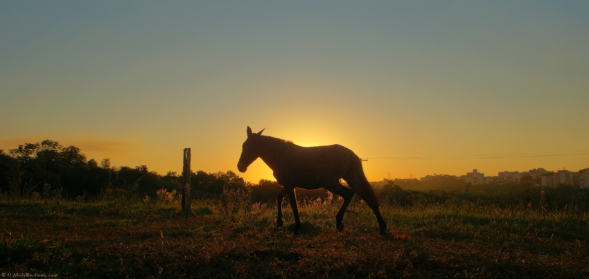 Studio-One.Art.br Repo Fotografia em Rio Preto SP/Brasil