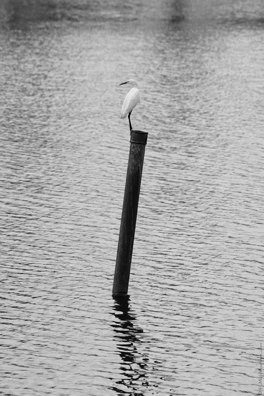 Studio-One.Art.br Repo Fotografia em Rio Preto SP/Brasil