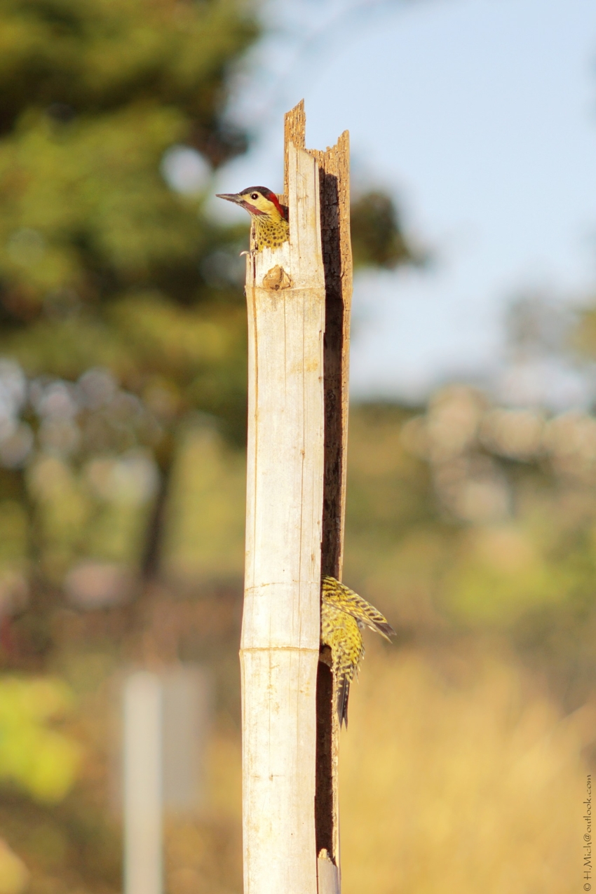 Studio-One.Art.br Repo Fotografia em Rio Preto SP/Brasil