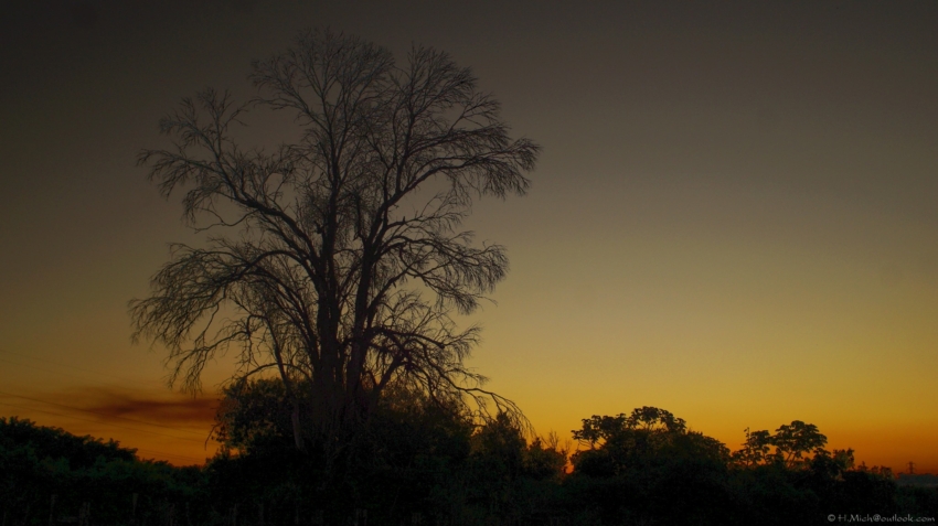 Studio-One.Art.br Repo Fotografia em Rio Preto SP/Brasil