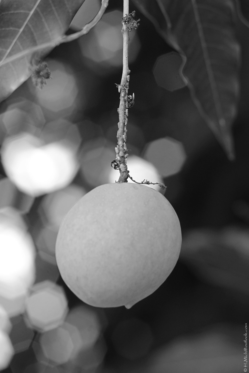 Studio-One.Art.br Repo Fotografia em Rio Preto SP/Brasil