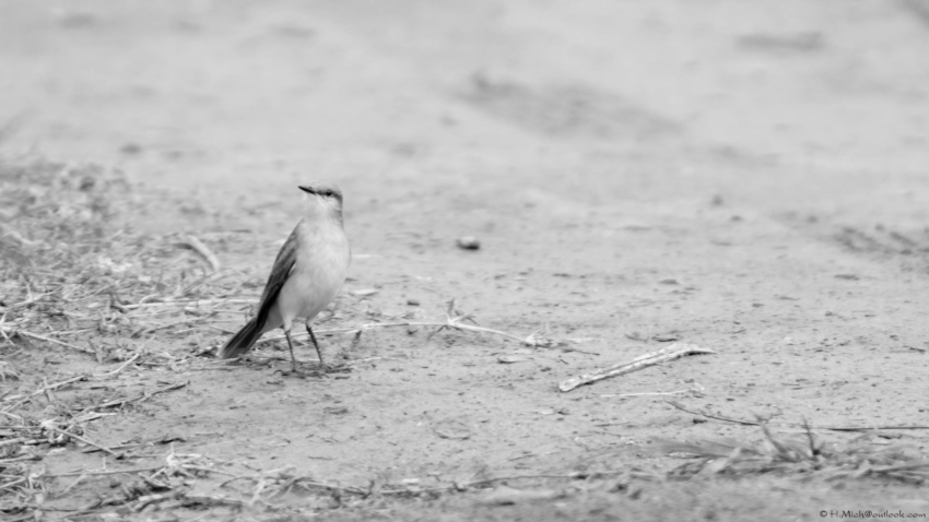 Studio-One.Art.br Repo Fotografia em Rio Preto SP/Brasil