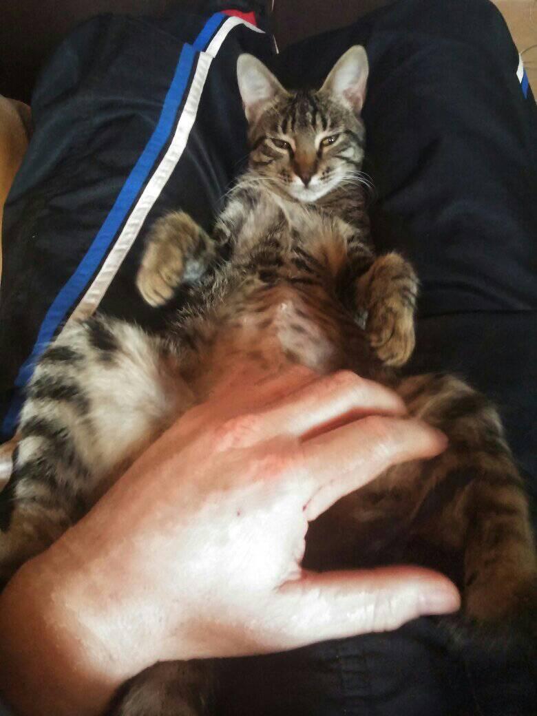 Studio-One.Art.br Repo Fotografia em Rio Preto SP/Brasil