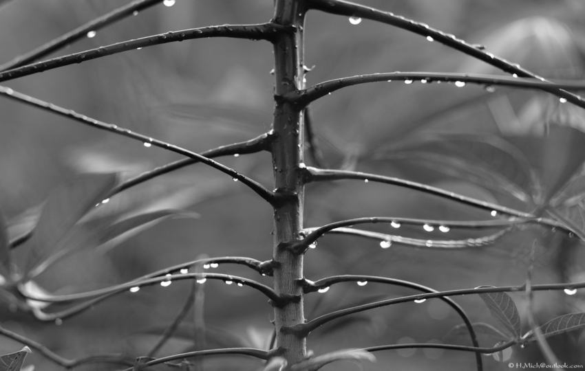 Studio-One.Art.br Repo Fotografia em Rio Preto SP/Brasil