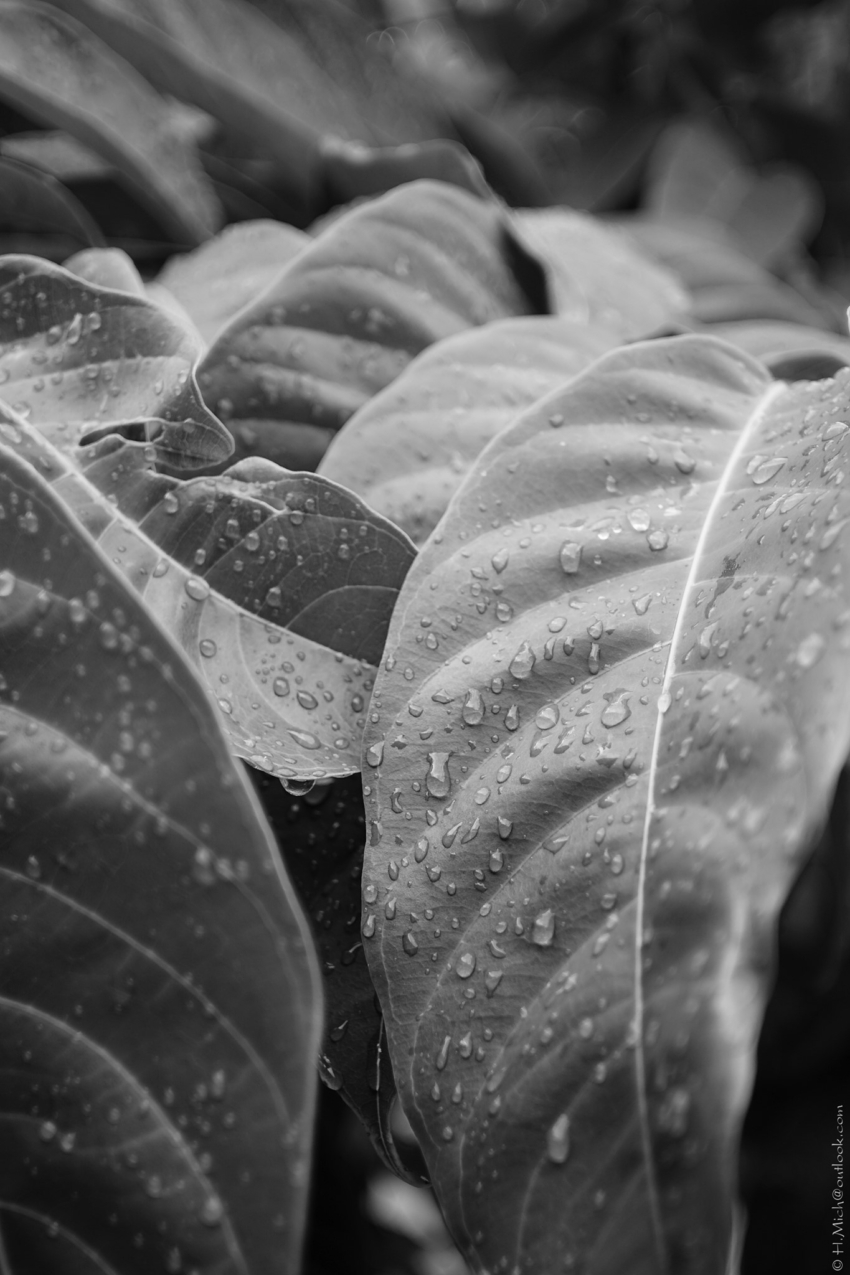 Studio-One.Art.br Repo Fotografia em Rio Preto SP/Brasil