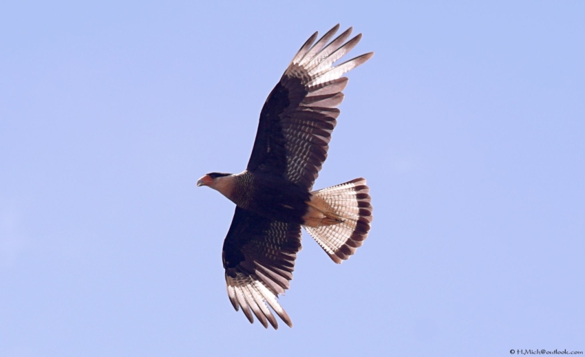 Studio-One.Art.br Repo Fotografia em Rio Preto SP/Brasil