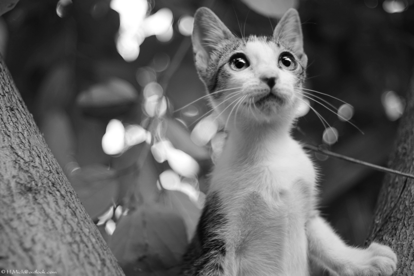 Studio-One.Art.br Repo Fotografia em Rio Preto SP/Brasil