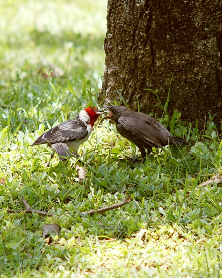 Studio-One.Art.br Repo Fotografia em Rio Preto SP/Brasil