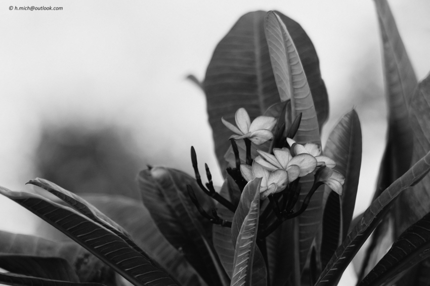 Studio-One.Art.br Repo Fotografia em Rio Preto SP/Brasil