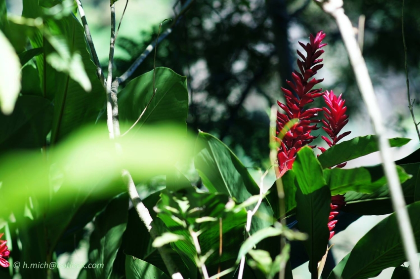 Studio-One.Art.br Repo Fotografia em Rio Preto SP/Brasil