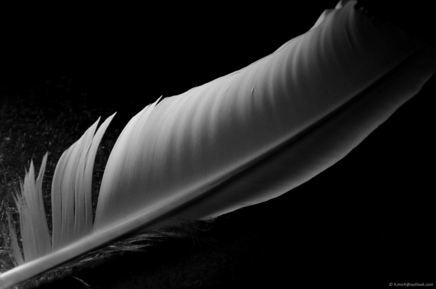 Studio-One.Art.br Repo Fotografia em Rio Preto SP/Brasil