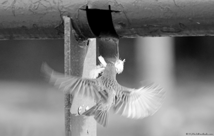 Studio-One.Art.br Repo Fotografia em Rio Preto SP/Brasil