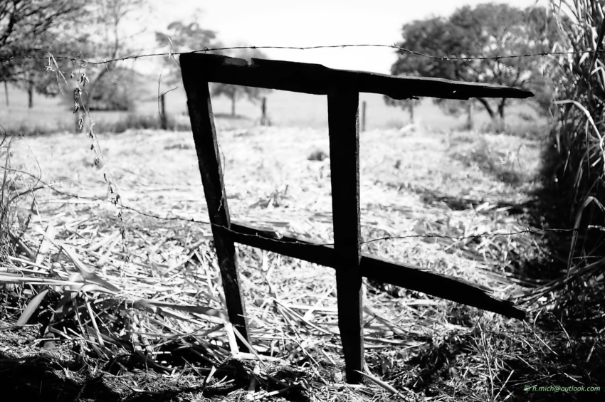 Studio-One.Art.br Repo Fotografia em Rio Preto SP/Brasil