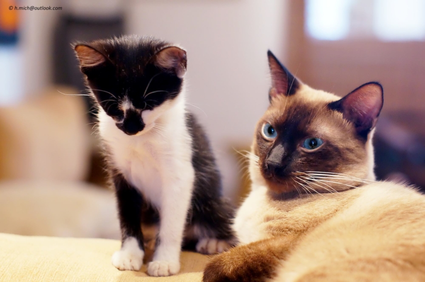 Studio-One.Art.br Repo Fotografia em Rio Preto SP/Brasil