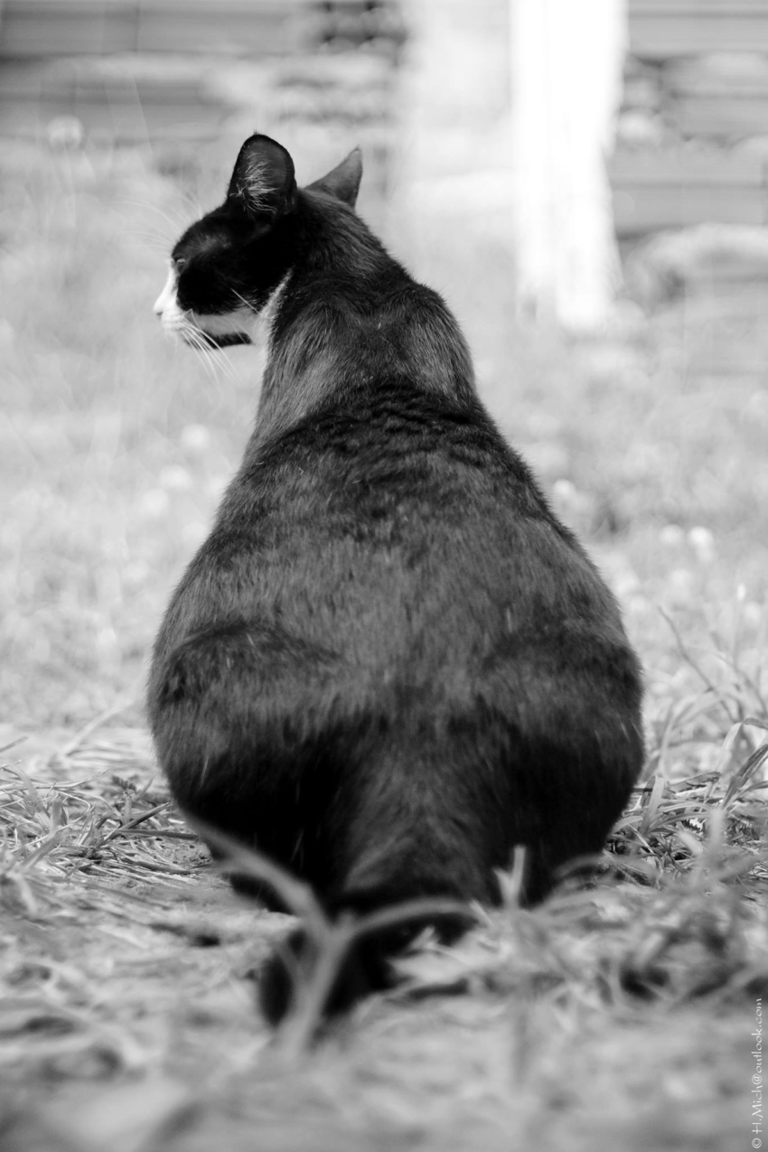 Studio-One.Art.br Repo Fotografia em Rio Preto SP/Brasil