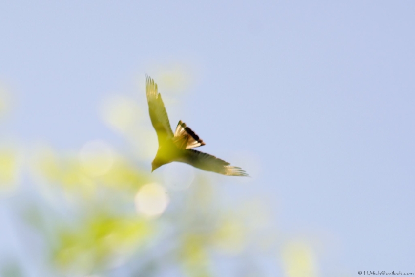 Studio-One.Art.br Repo Fotografia em Rio Preto SP/Brasil