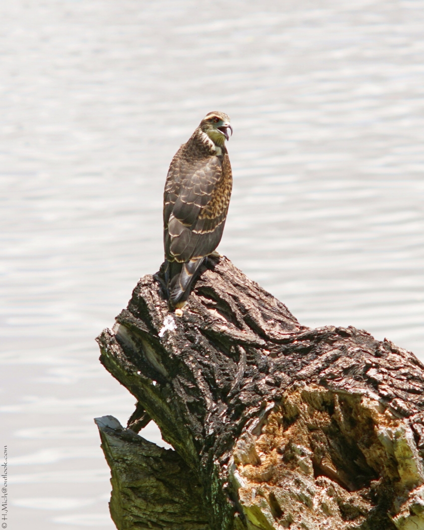 Studio-One.Art.br Repo Fotografia em Rio Preto SP/Brasil