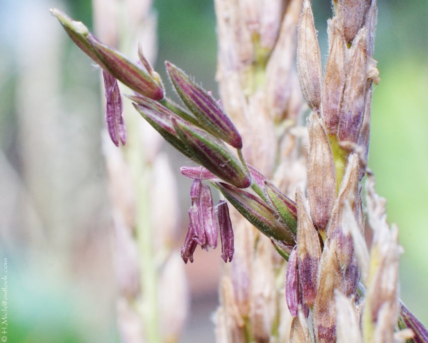 Studio-One.Art.br Repo Fotografia em Rio Preto SP/Brasil