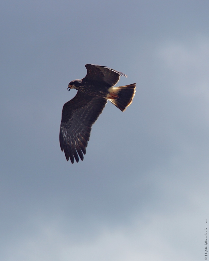 Studio-One.Art.br Repo Fotografia em Rio Preto SP/Brasil