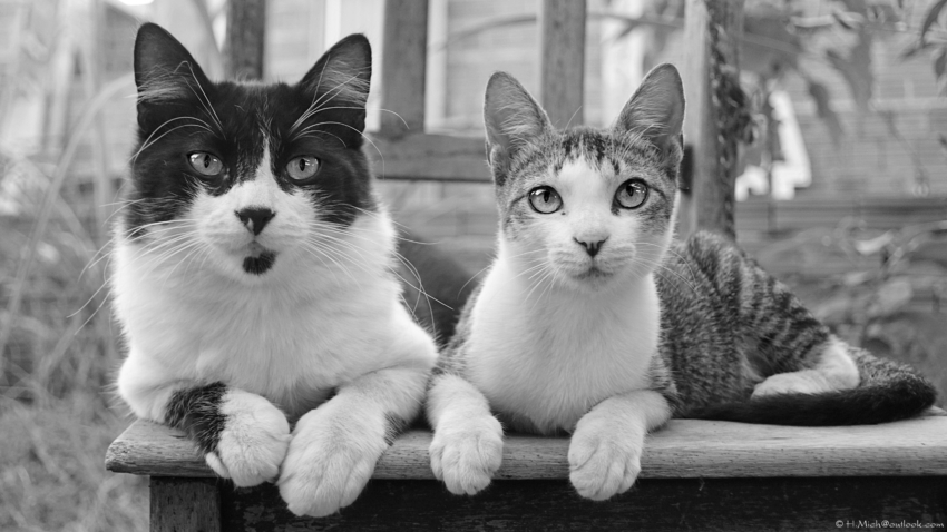 Studio-One.Art.br Repo Fotografia em Rio Preto SP/Brasil