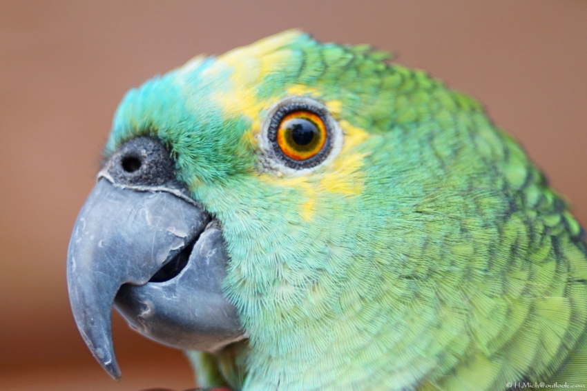 Studio-One.Art.br Repo Fotografia em Rio Preto SP/Brasil