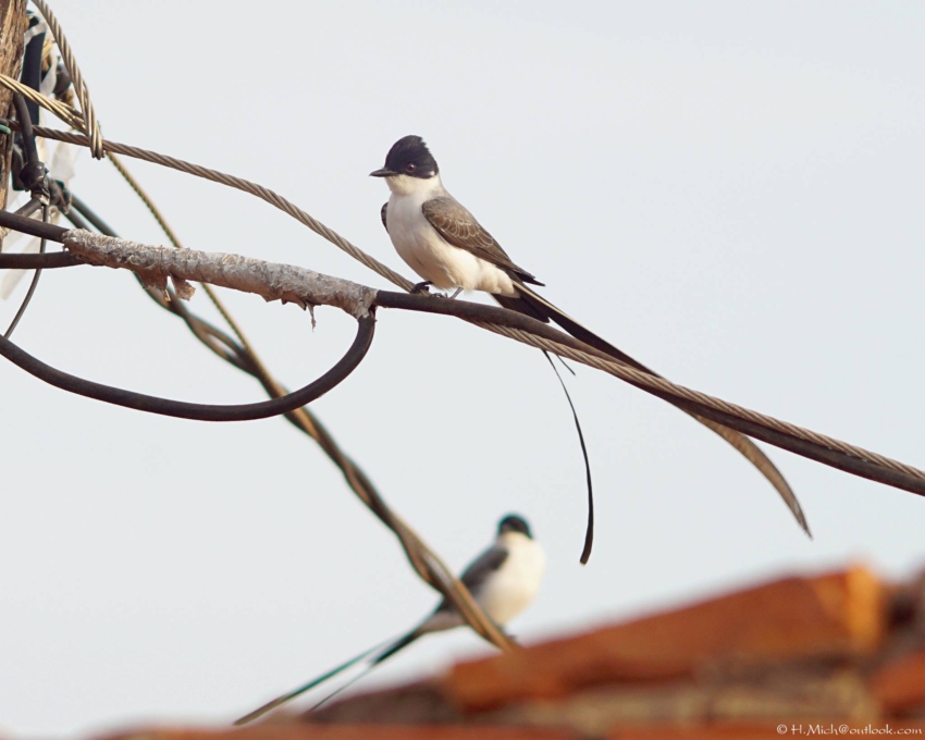 Studio-One.Art.br Repo Fotografia em Rio Preto SP/Brasil