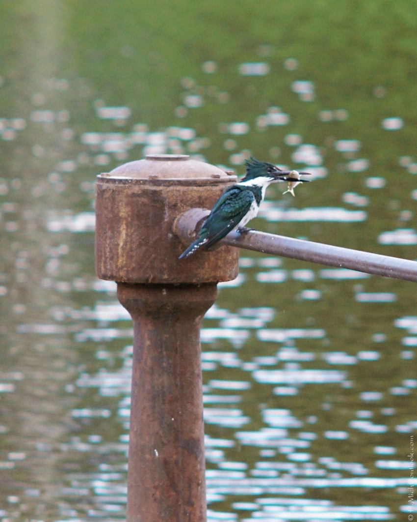 Studio-One.Art.br Repo Fotografia em Rio Preto SP/Brasil