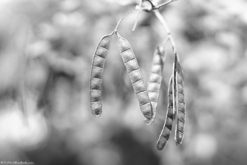 Studio-One.Art.br Repo Fotografia em Rio Preto SP/Brasil