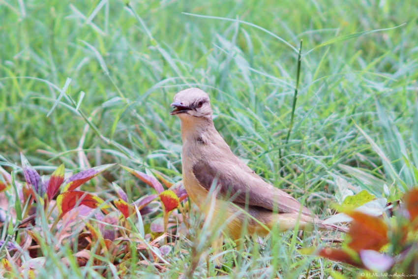 Studio-One.Art.br Repo Fotografia em Rio Preto SP/Brasil