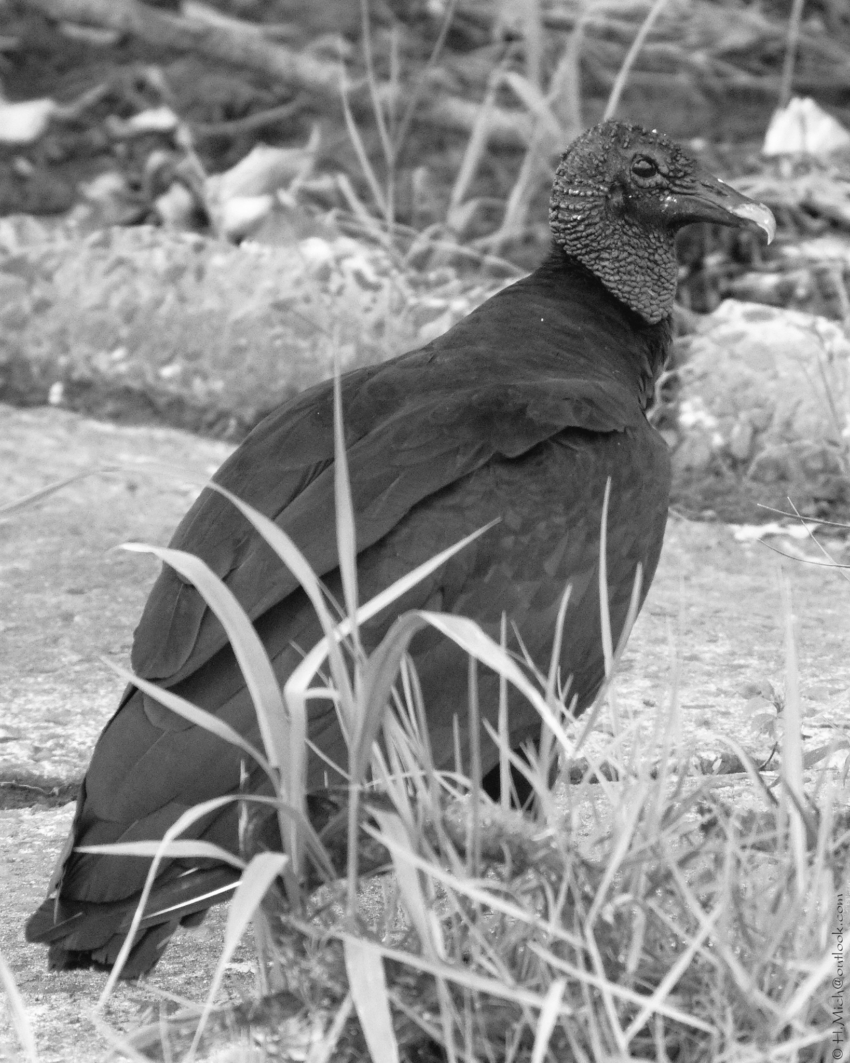 Studio-One.Art.br Repo Fotografia em Rio Preto SP/Brasil