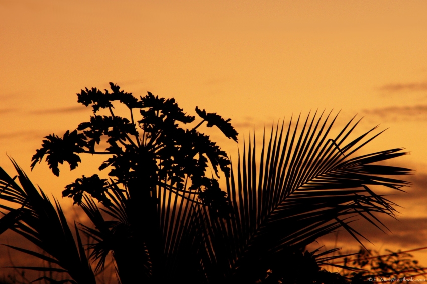 Studio-One.Art.br Repo Fotografia em Rio Preto SP/Brasil