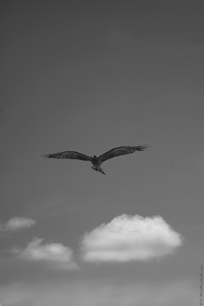 Studio-One.Art.br Repo Fotografia em Rio Preto SP/Brasil