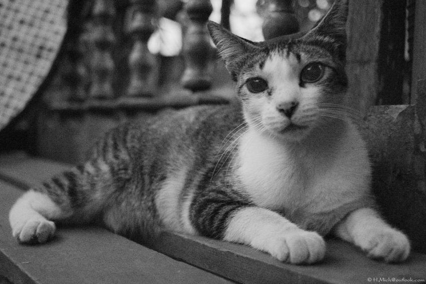 Studio-One.Art.br Repo Fotografia em Rio Preto SP/Brasil