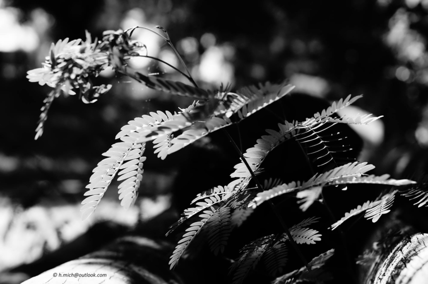 Studio-One.Art.br Repo Fotografia em Rio Preto SP/Brasil