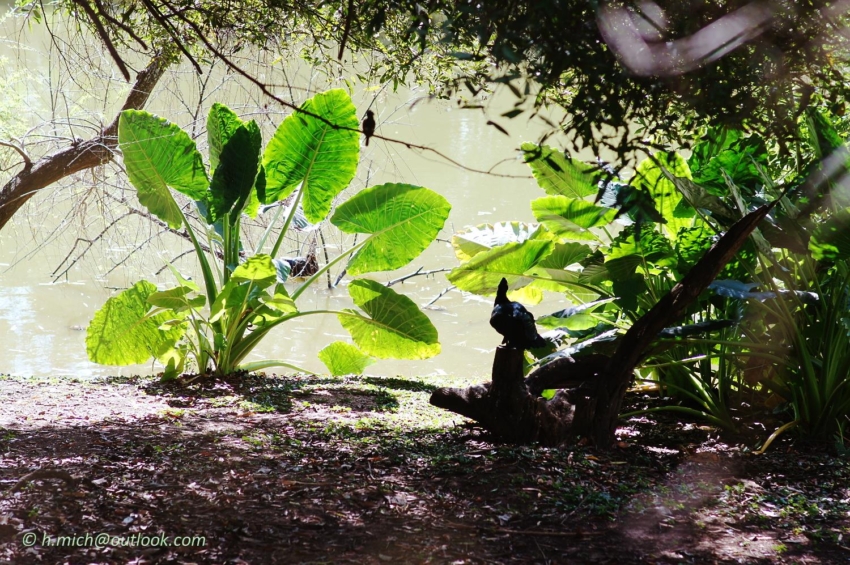 Studio-One.Art.br Repo Fotografia em Rio Preto SP/Brasil